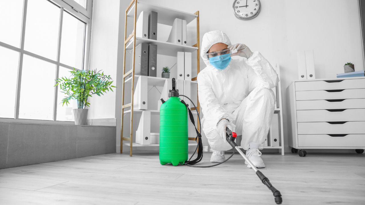 Disinfection Services Near Me